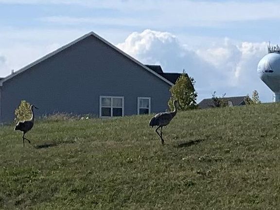 5th image of 699 S Stone Ridge Dr