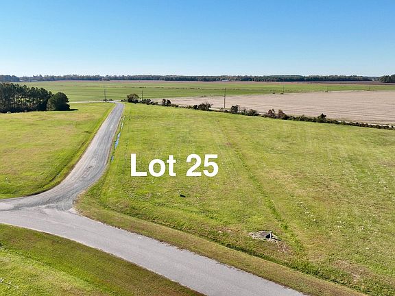 3rd image of 247 Blue Heron Boulevard LOT 25