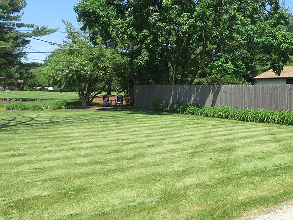 Backyard Pic 1