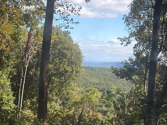 5th image of Vannoy Ridge Rd