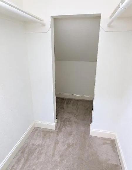 20909 Springport Ct — Photo 19