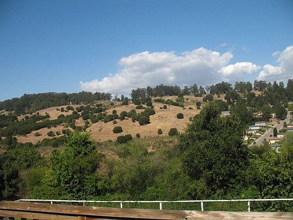 View from Deck
