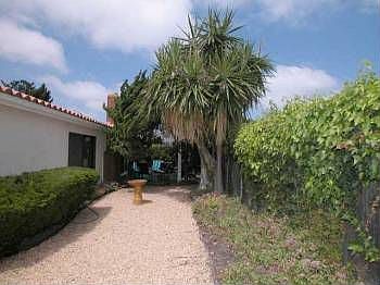 5th image of 613 Mariposa Cir