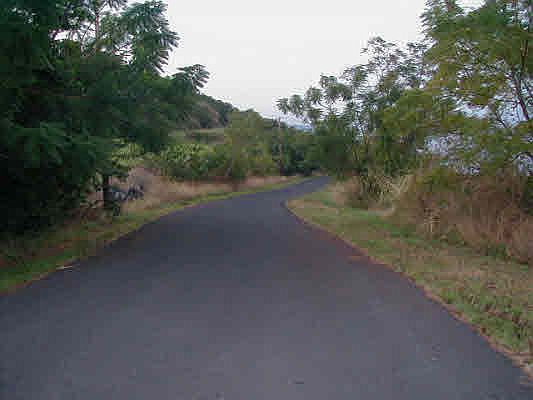 3rd image of 87-3100 Mamalahoa Hwy Lot 5