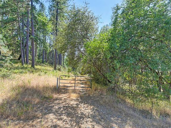 2nd image of 24316 Timber Ridge Dr