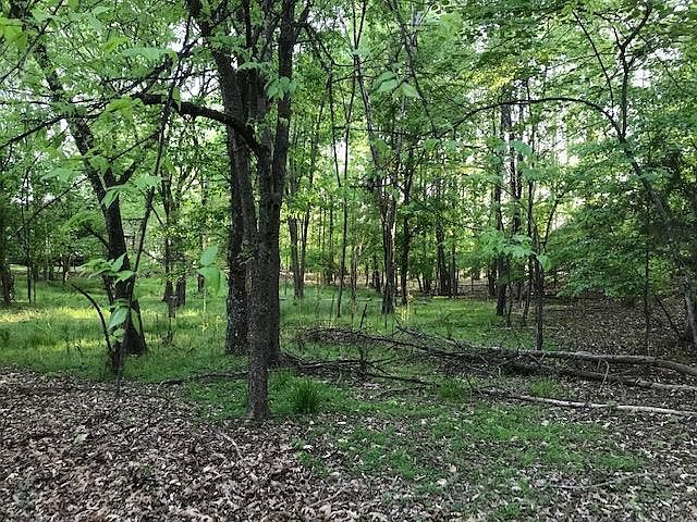1st image of LOT 1 County Road 671