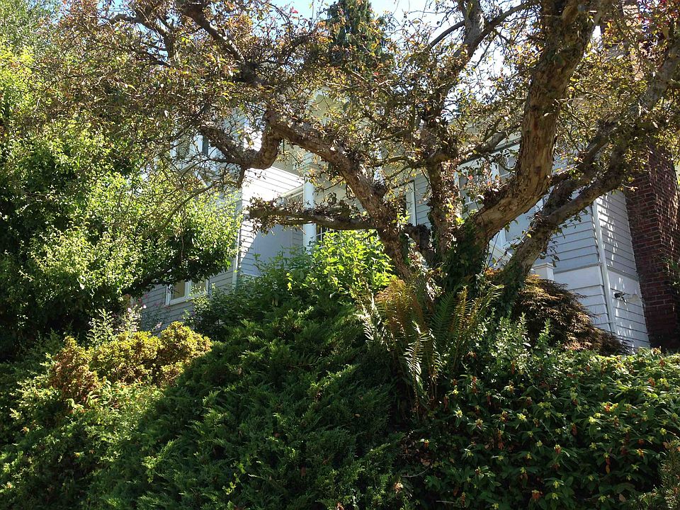 2nd image of 6002 28th Ave NE