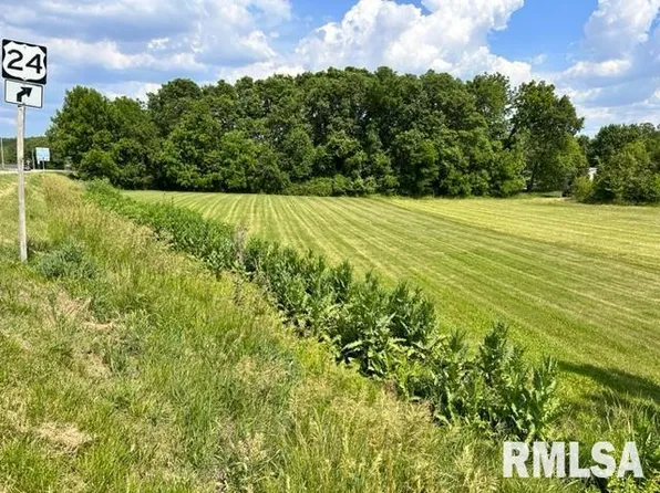 262 W Valley View Dr, Canton, IL 61520