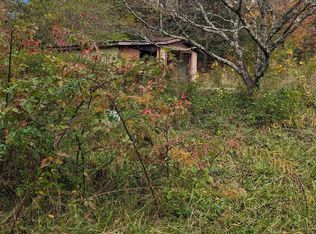 19 Wilson St, Blue Ridge, GA 30513