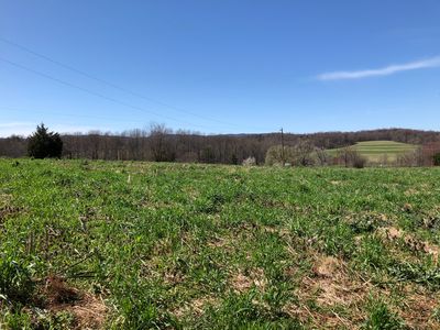 0 Factory Hill Rd, Callaway, VA, 24067