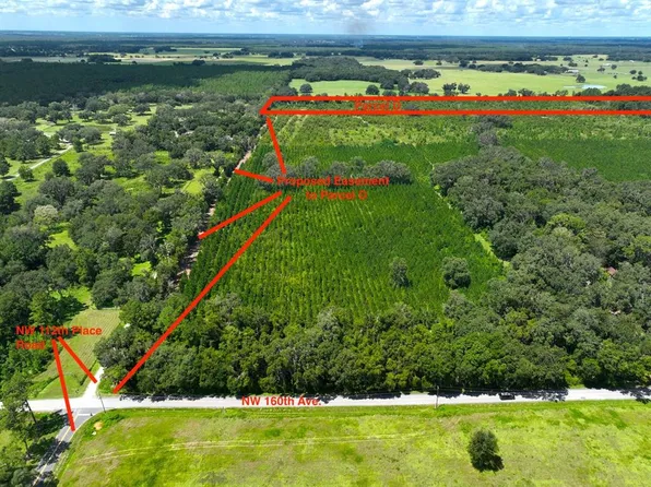 PARCEL NW 160th Ave #D, Morriston, FL 32668