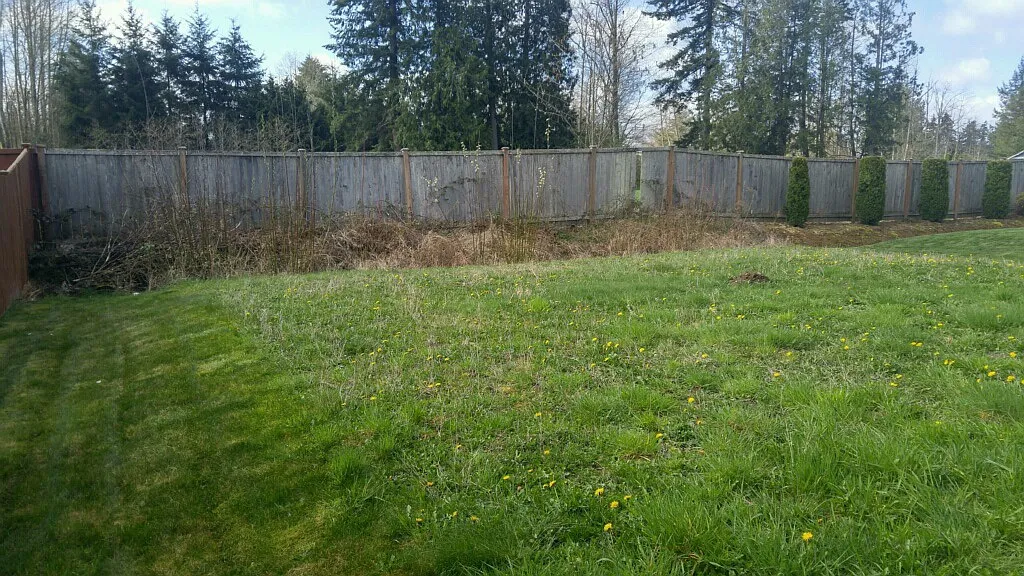 4 bed, 2.5 bath, 1749 sqft, $2,850 — Photo 2