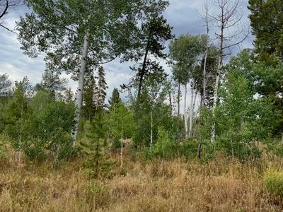 200 Fargo Way, Oak Creek, CO, 80467