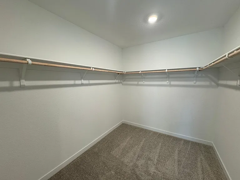 Walk-in closet in master bedroom