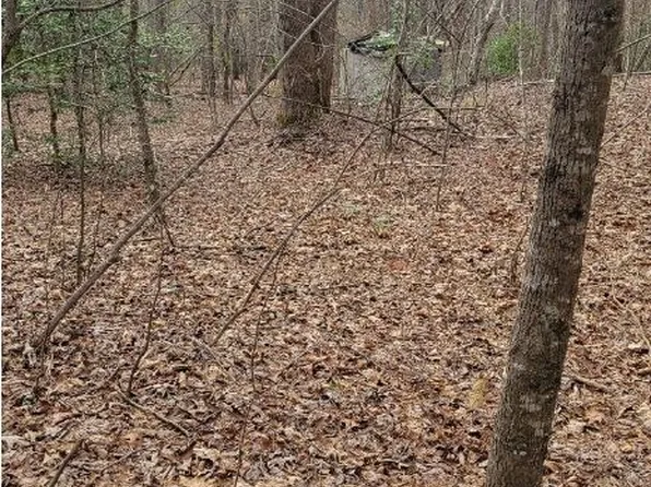 0 Twin River Orchard Rd, Demorest, GA 30535