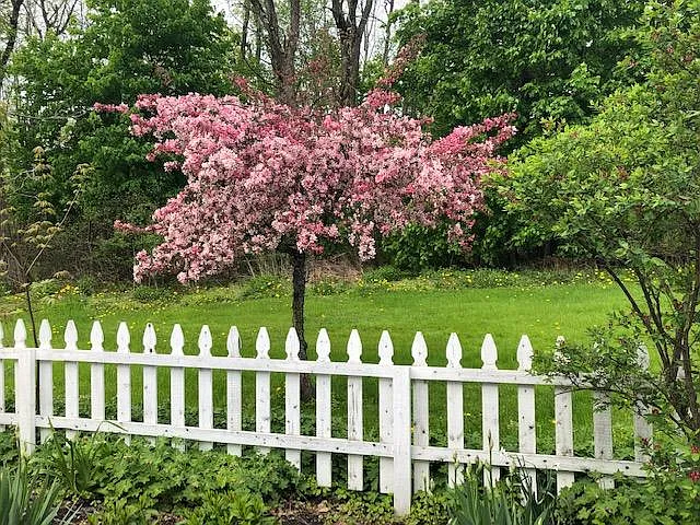 Route 3 — Photo 9