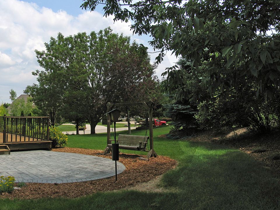 Patio and backyard