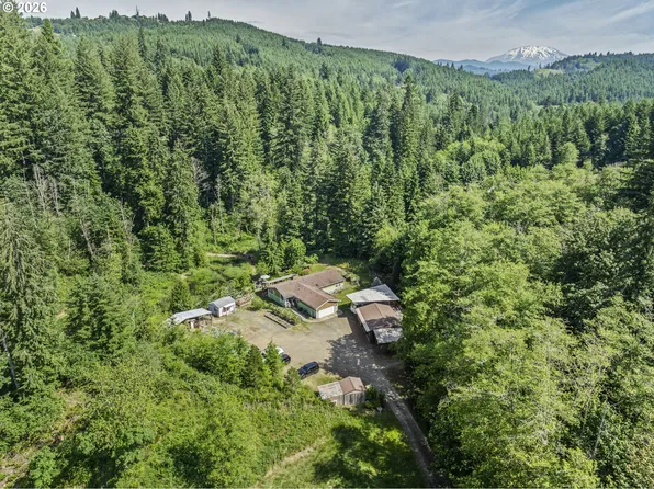 136 Longhorn Rd, Amboy, WA 98601