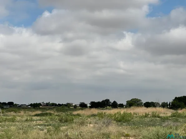 S Of Artesia Cc, Artesia, NM 88210