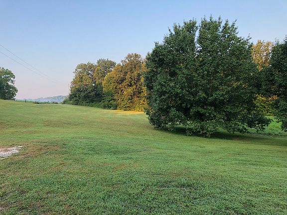 Yard in front of driveway 