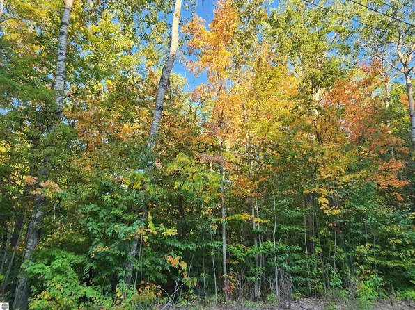 228 N Donnybrook, Frederic, MI 49733