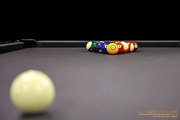 Rented by aptsandlofts.com | media 109