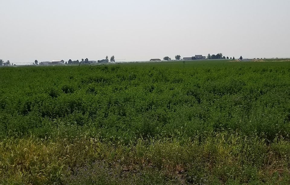 1st image of 11469 Road 8.6 NE