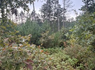 Hayden Lake Rd, Danbury, WI 54830