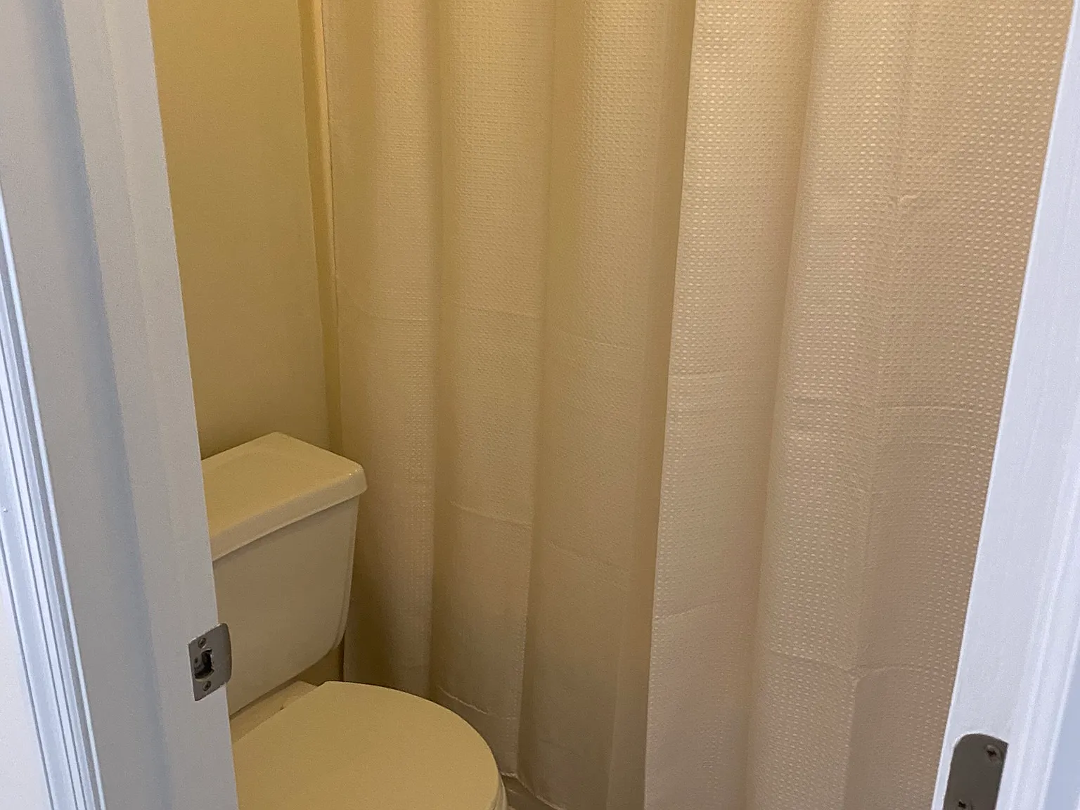 4 bed, 1250 sqft, $449 — Photo 4