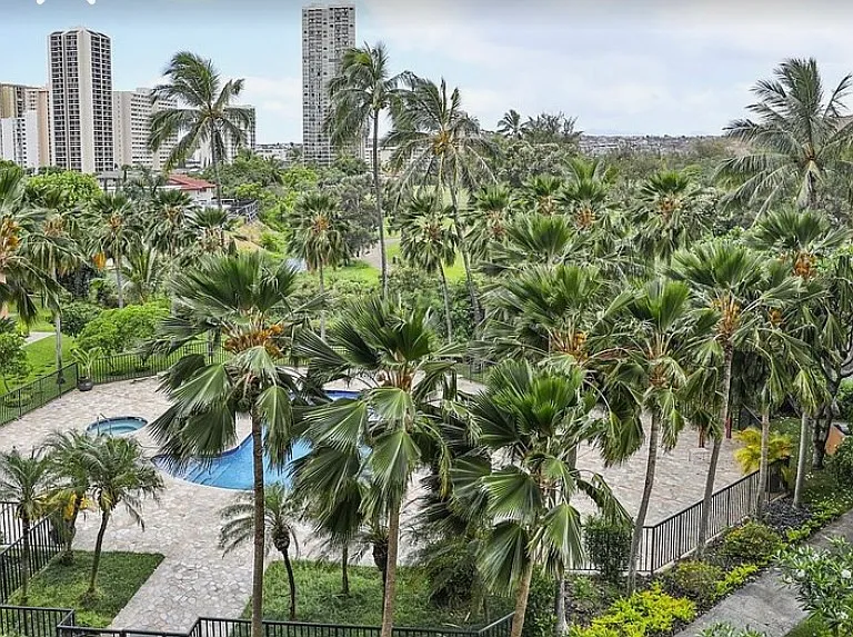 View from your condo!