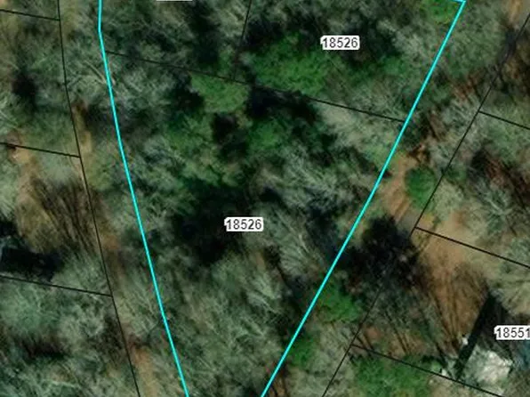 Pine St, Chireno, TX 75937