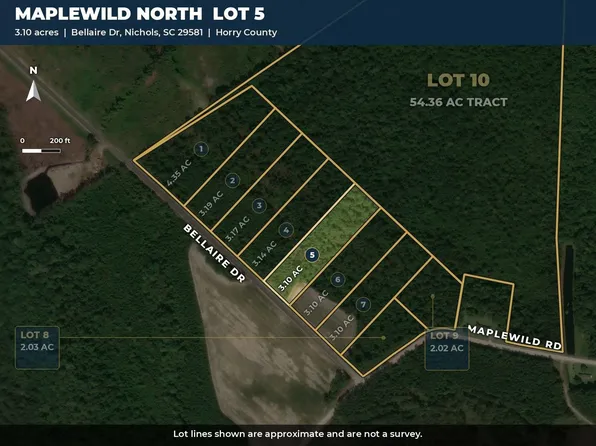 TBD Bellaire Dr. Lot 5, Nichols, SC 29581