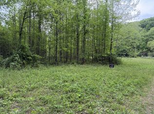 0 Charlie York Rd, Lambsburg, VA 24351