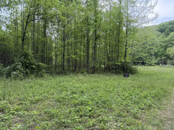 0 Charlie York Rd, Lambsburg, VA 24351