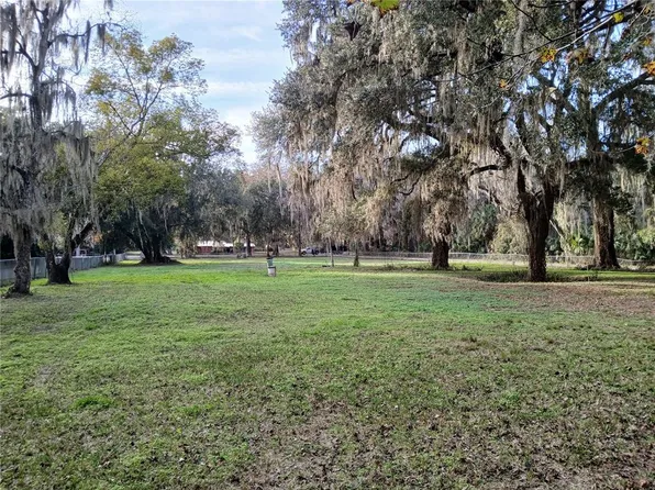 County Road 434b Lot 215, Lake Panasoffkee, FL 33538