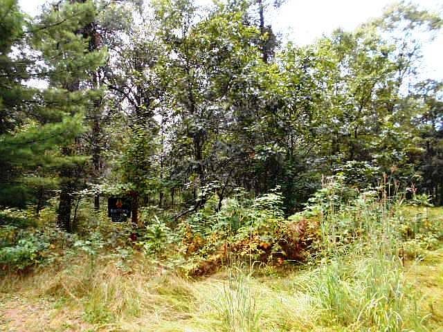 2nd image of Woodland Ln