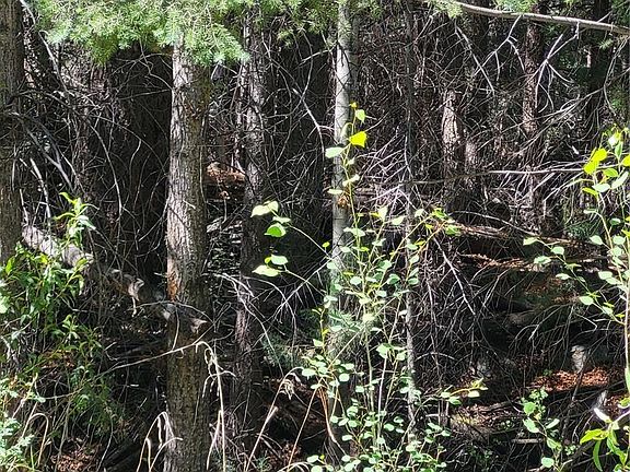 3rd image of Lot 69 California Circle