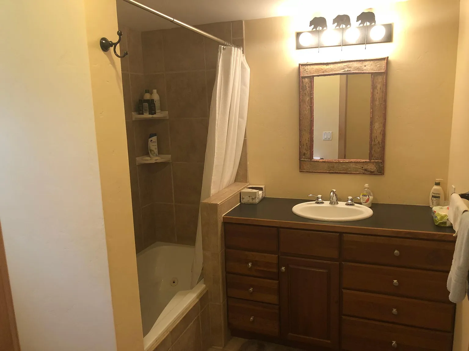 4 bed, 1800 sqft, $6,000 — Photo 3