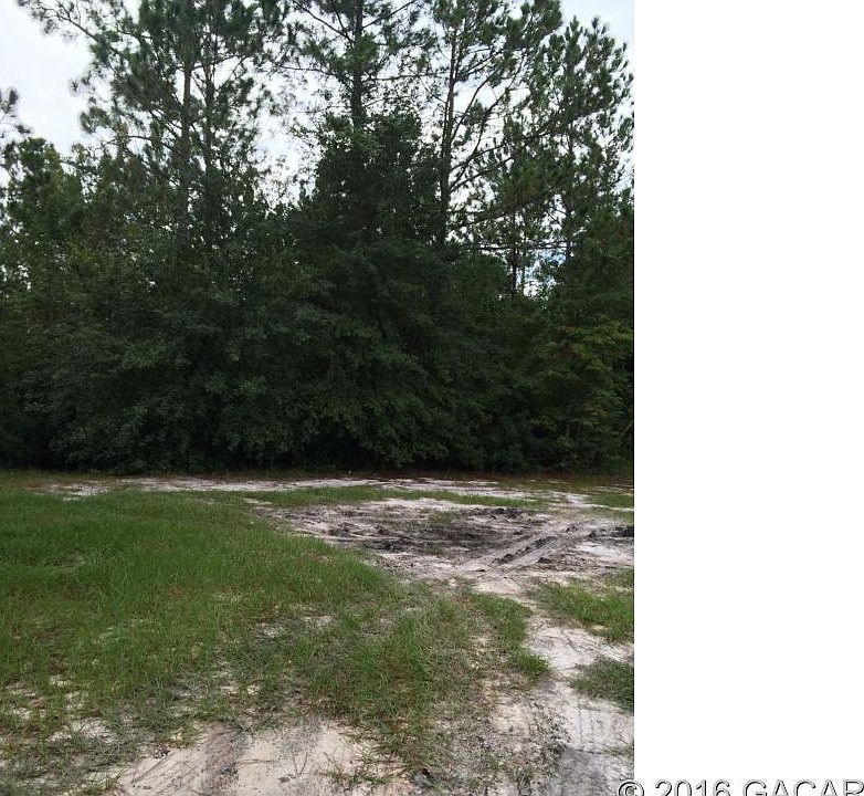 2nd image of 4309 Bondarenko Rd