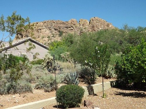 2nd image of 5338 S Joshua Tree Ct