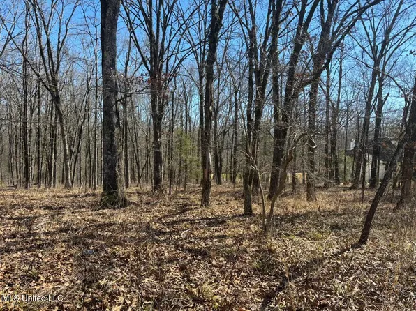 123 Bridgewater Xing, Ridgeland, MS 39157