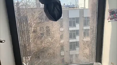 Rented by Urban Pads