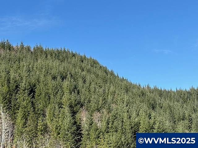 1st image of 0 Logsden Rd