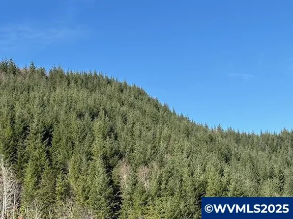 0 Logsden Rd, Blodgett, OR 97326