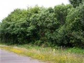 1st image of 330 Mast Ave NW