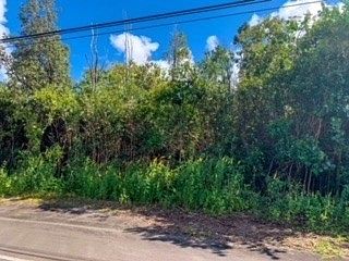 1st image of 518 Puloku St Lot 239