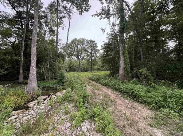 12195 Laurel Ridge Rd, Saint Amant, LA 70774