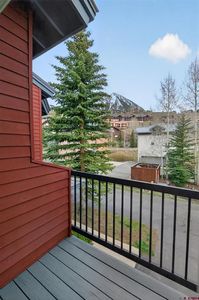 17 Castle Road #3, Crested Butte, CO, 81224
