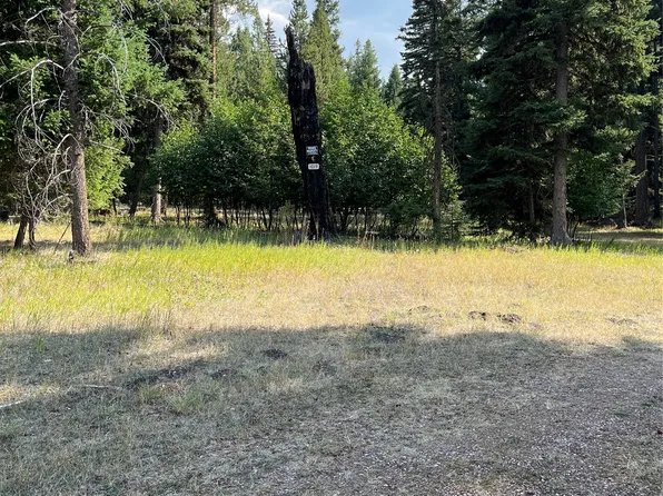1019 Double Arrow Rd, Seeley Lake, MT 59868