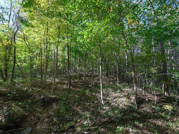 5th image of 1 Panther Hollow Rd